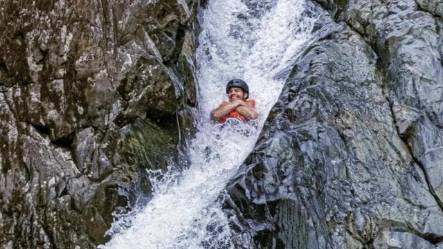 Puerto Rico: El Yunque Rainforest Guided Tour with Transfers
