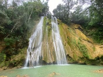 Samaná: El Limón Waterfall Horseback Riding Tour