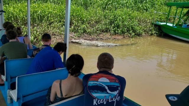 From San José: Carara National Park and Tárcoles River Tour