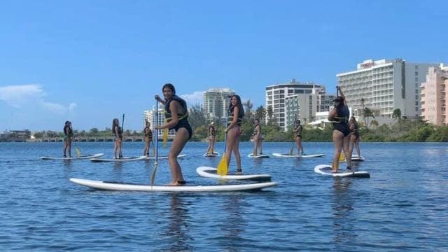 Condado: Paddleboard Rental - Photo 5 (Gallery view)