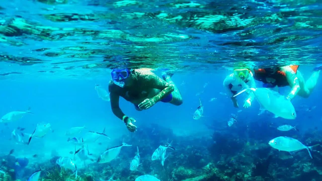 Punta Cana: Catalina Island Private Day Trip with Snorkeling - Photo 4 (Gallery view)