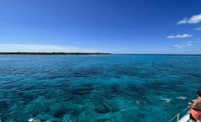 La Romana: Prehliadka ostrova Saona s obedom pre Mein Schiff - Photo 3 (Gallery view)