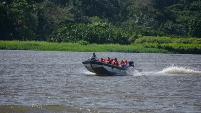 Motorboat Tour in Tortuguero National Park **BEST SELLER**