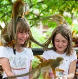 Puerto Plata: Monkeyland Tour - Dominican Republic