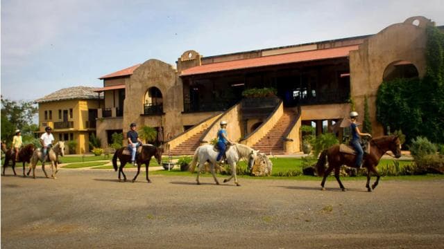 Scenic Horseback Riding Experience