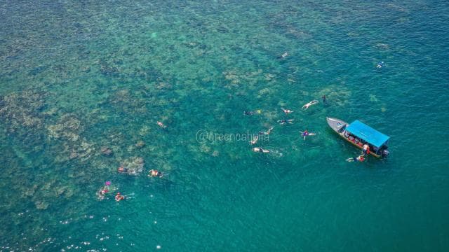 CAHUITA: NATIONAL PARK SNORKELING AND HIKING *CERTIFIED LOCAL TOUR GUIDE*.