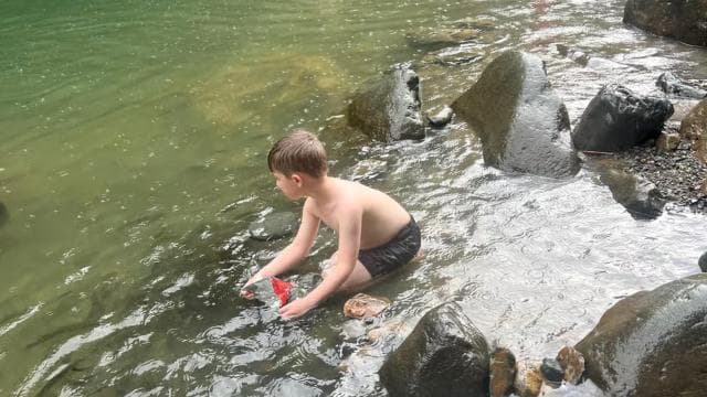 San Juan : randonnée dans la forêt tropicale d'El Yunque et plage de Luquillo - Photo 3 (Gallery view)