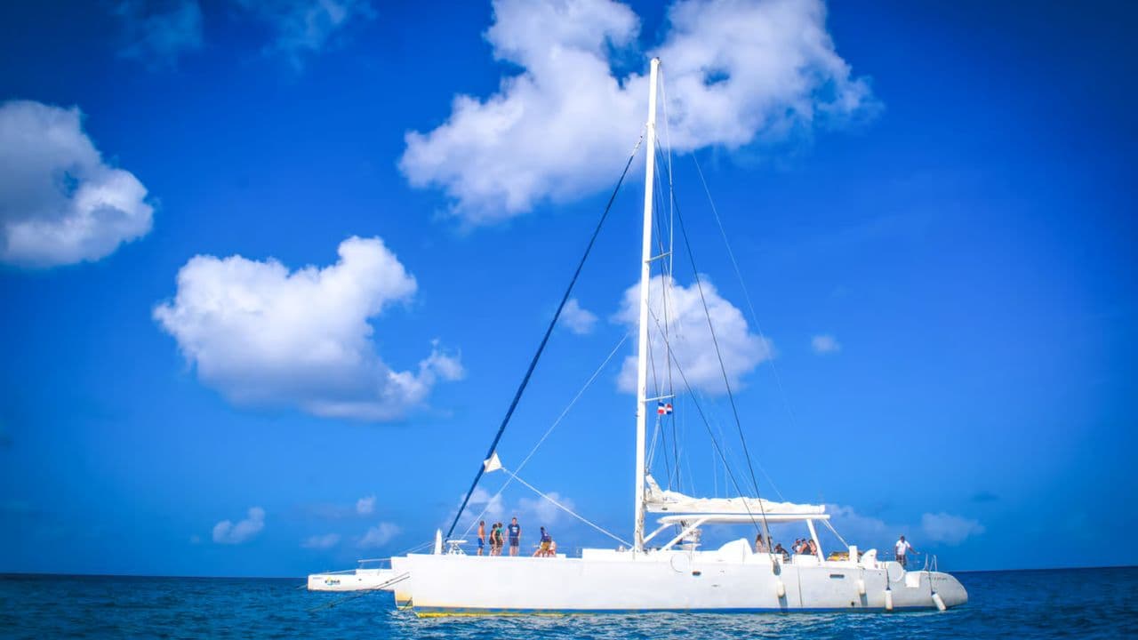 Bayahibe: Saona Island Excursion - Photo 4 (Gallery view)