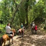 Dominican Republic: El Limón Waterfall Horseback Riding Tour