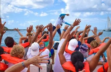 Punta Cana: Tagestour zur Insel Saona und Katamaran-Party - Photo 2 (Gallery view)