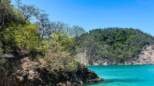 From Puntarenas: Isla Tortuga Speedboat Trip with Lunch
