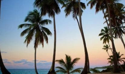 Private Rincón Beach & Bacardi Island from Punta Cana - Dominican Republic