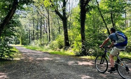 Tour: Bike and Kayak Adventure in Los Haitises National Park