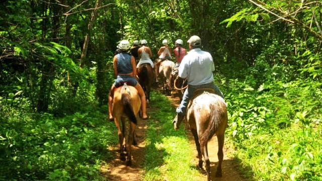 Monteverde: Horseback Riding Tour - Photo 2 (Gallery view)