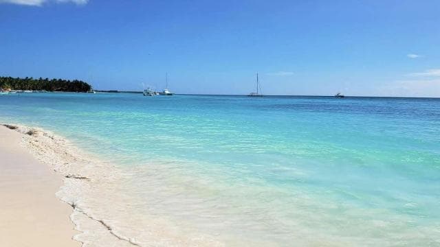 Saona Island: Relaxation Day Trip with Open Bar