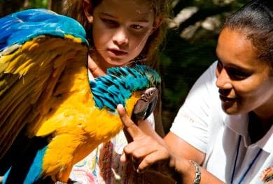 Puerto Plata: Ocean World Adventure Park Day Pass
