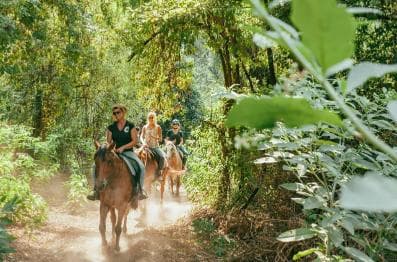 Private: Punta Cana: Horseback Riding Tour with Sunset - Dominican Republic