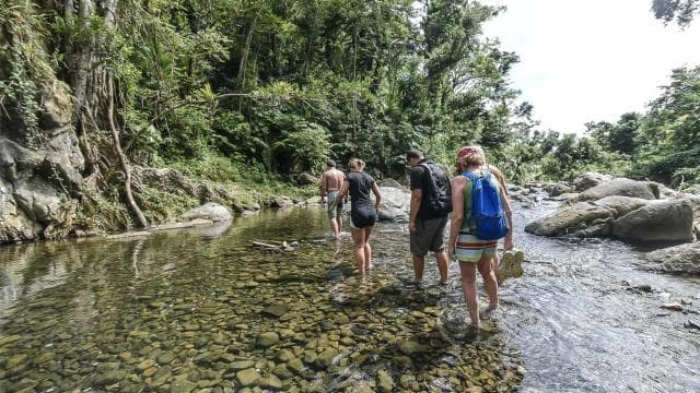 From San Juan: El Yunque Rainforest and Waterslides Day Trip