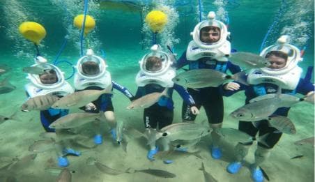 Private: ScubaDoo Underwater Scooter and Snorkel Tour - Photo 4 (Gallery view)
