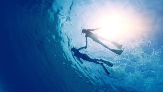 Borinquen: Underwater Magic Snorkel Adventure