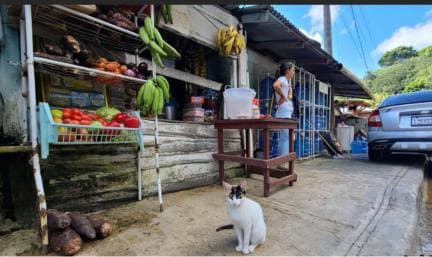 Tour de safari por el campo de República Dominicana desde Puerto Plata - Photo 5 (Gallery view)