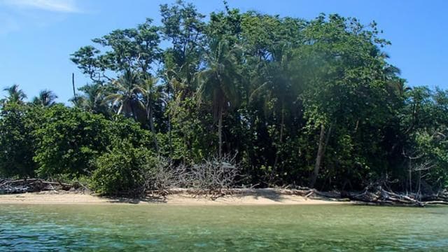 From Manzanillo: Cahuita Snorkel and Rainforest Hike