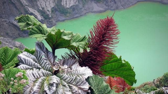 From San Jose: Irazu Volcano Crater Hike and Cartago Trip