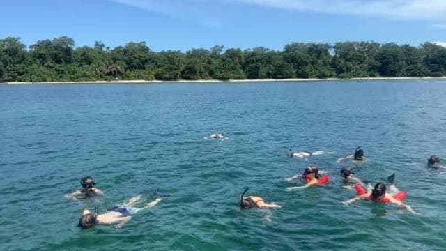 Snorkel in Cahuita National Park