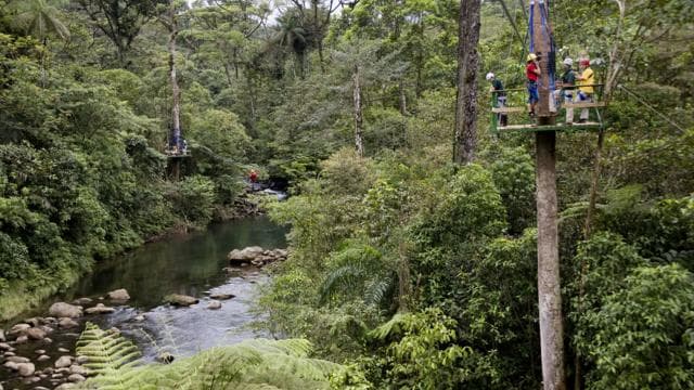 Eco-Adventure Rafting and Zipline Combo