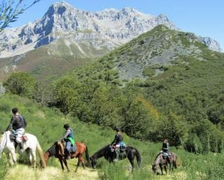 Jarabacoa: Horseback Riding to Salto Baiguate Waterfall
