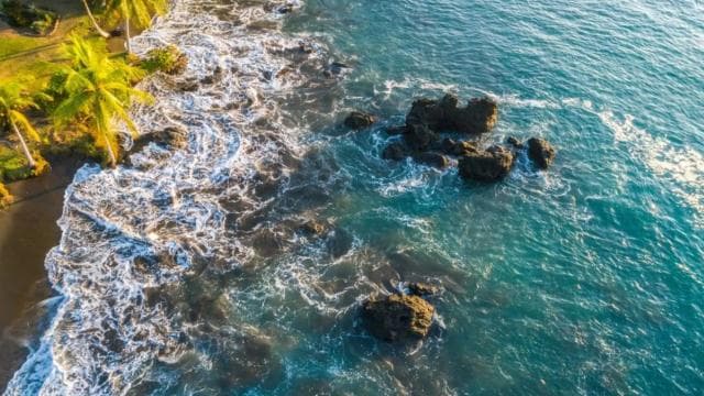 Bahía Drake: caminata por la jungla y aventura de barranquismo con almuerzo - Photo 3 (Gallery view)
