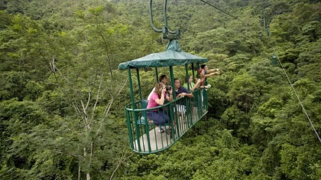 From San Jose: Braulio Carillo National Park Rainforest Tram