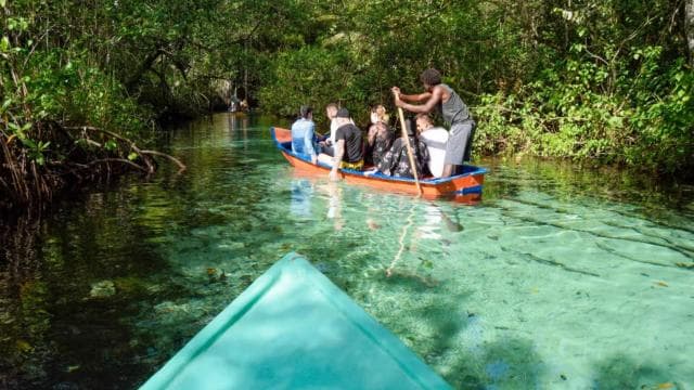 Punta Cana: Samaná Whale Watching and El Limón Day Tour - Dominican Republic