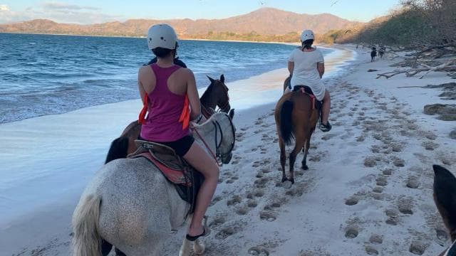 Horseback riding on the beach - Photo 5 (Gallery view)