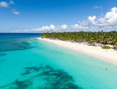 Juan Dolio: Saona Island Full-Day Tour with Lunch and Drinks
