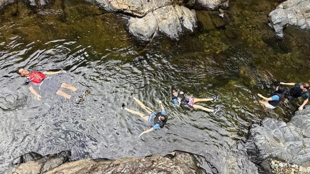 Экскурсия по тропическому лесу Эль-Юнке и приключение на водной горке - Photo 2 (Gallery view)