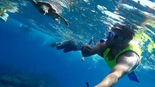 Drake Bay: Snorkeling Tour in Caño Island with Lunch