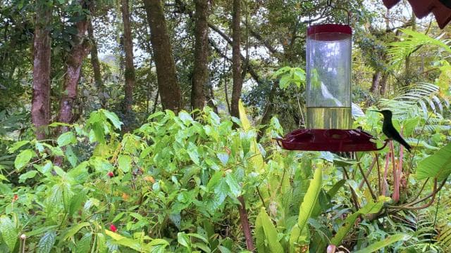 La Paz Waterfall Gardens Day Pass Ticket