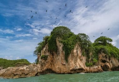 Samana: Visit Samana, Los Haitises Park, and Cayo Levantado Island
