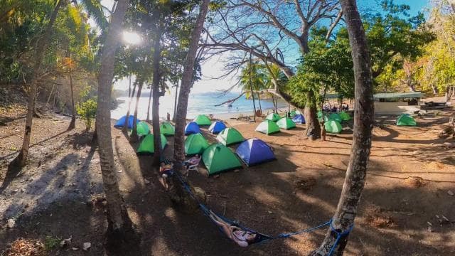 Bioluminescence Tour; Speedboat, Camping (From Puntarenas)