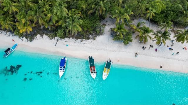 Saona Island All Inclusive Tour - Photo 5 (Gallery view)
