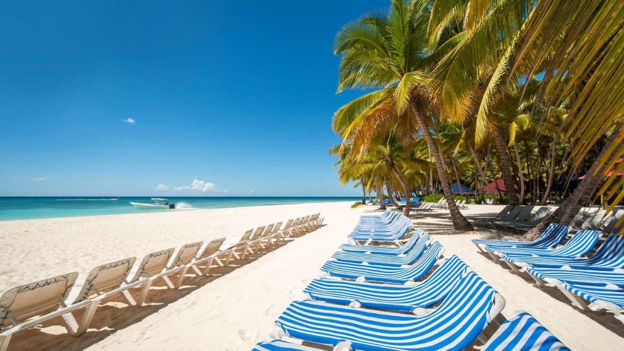 Saona Island Excursion Punta Cana
