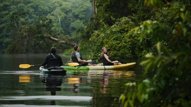 Tortuguero: Kayak adventure through the rainforest canals.
