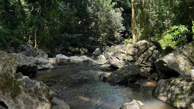 Caguas: Waterfall and Cave Adventure