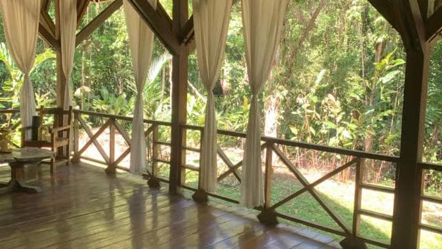 Puerto Viejo: Energetic Chakra Cleansing in the jungle