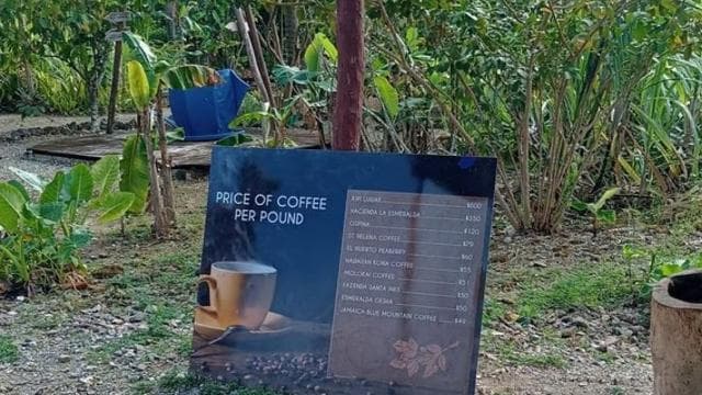 3-godzinna panoramiczna wycieczka po Punta Cana z targiem rzemieślniczym - Photo 2 (Gallery view)