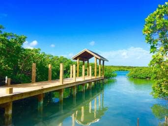 Punta Cana: Ecological Reserve 4x4 Tour with Tastings