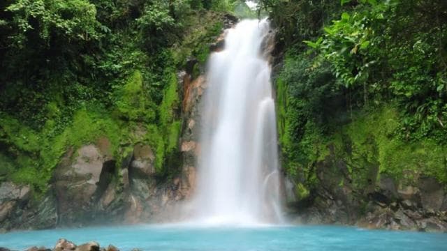 La Fortuna Town: Rio Celeste and Tenorio National Park Tour
