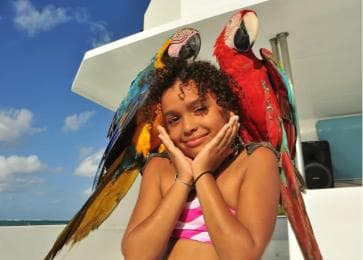 Excursión a Isla Saona desde Punta Cana (Todo incluido).