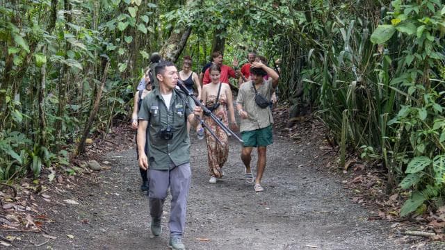 La Fortuna: Sloths & Coffee, Chokola ak Sugarcane Tour - Photo 2 (Gallery view)